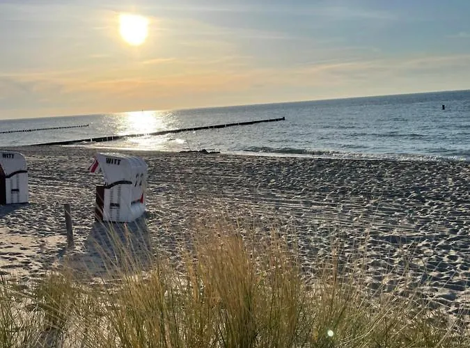 Moewe غرال موريتز